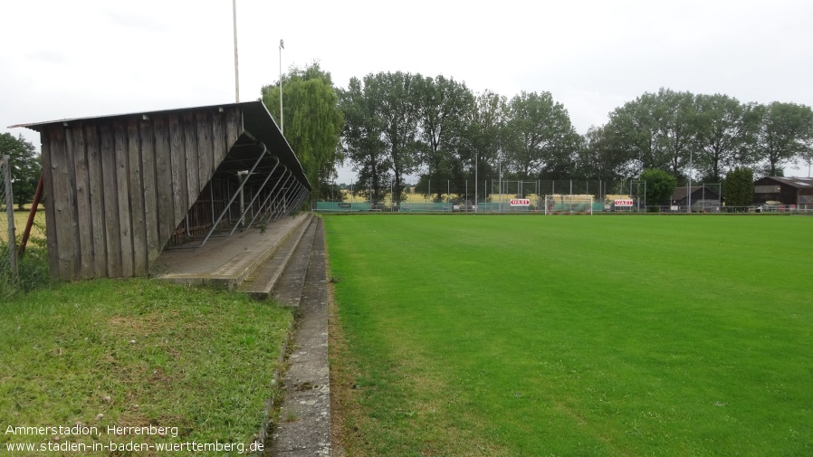 Herrenberg, Ammerstadion