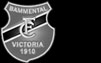 FC Victoria Bammental