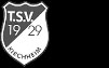 TSV 1929 Kirchheim