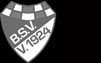 Brinkumer SV 1924