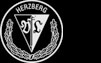 VfL 08 Herzberg