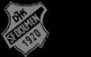 DJK Sportfreunde Dülmen 1920