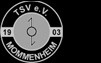 TSV 1903 Mommenheim