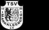 TSV Markkleeberg